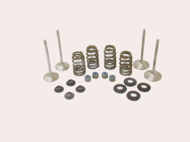 Valve Train Kit for Twin Cam 2005-Later (Up to .600 Lift)