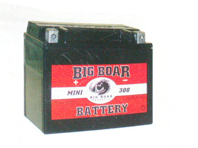 Big Boar Battery (Evolution FXST, FLST, FXD 1991 / Up )